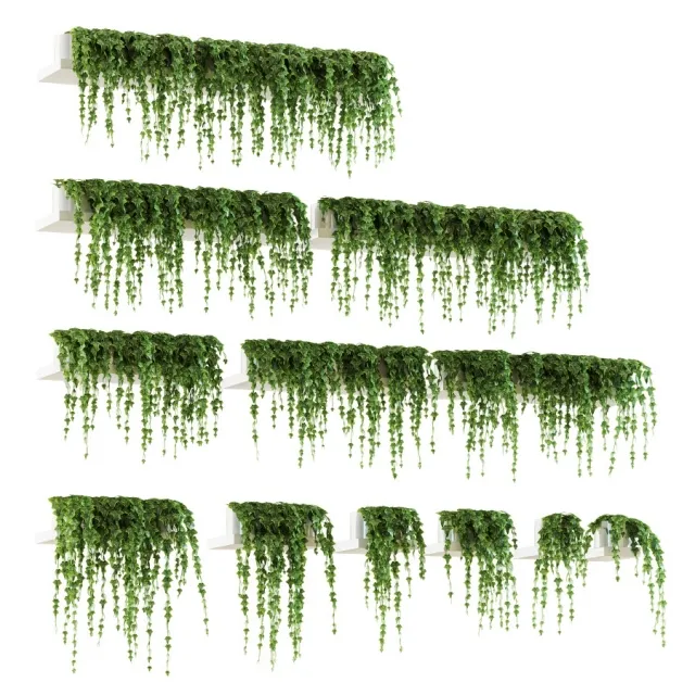decoration – Ivy shelf 3D Model