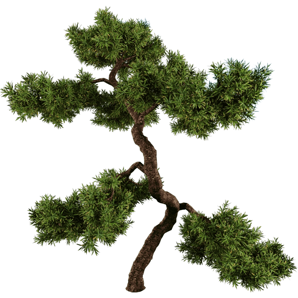 decoration – Juniperus communis 01 05 3D Model