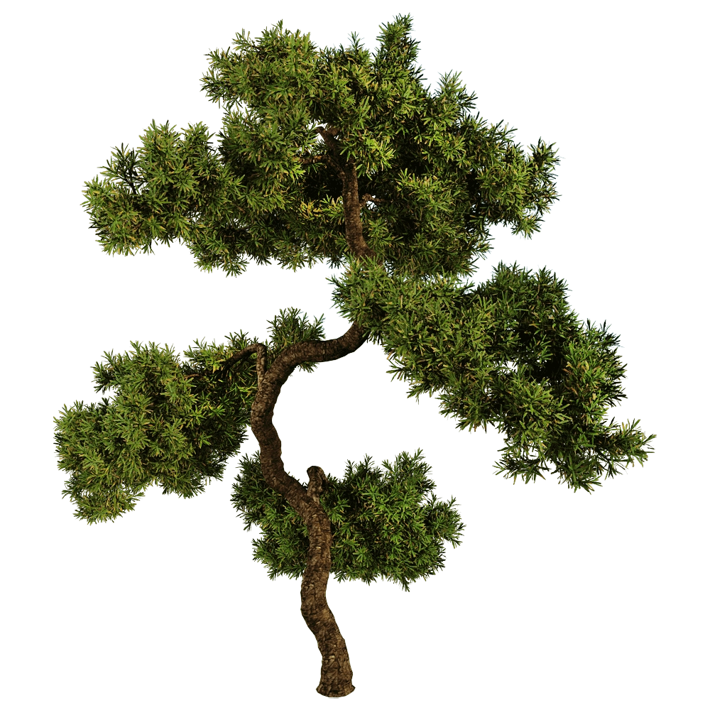 decoration – Juniperus communis 01 06 3D Model