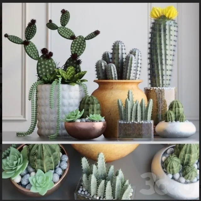 decoration – Kaktus 3D Model decoration – Kaktus 3D Model