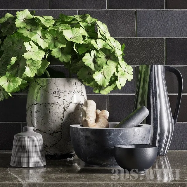 decoration – Kitchen decorative set with a plant 3D Model