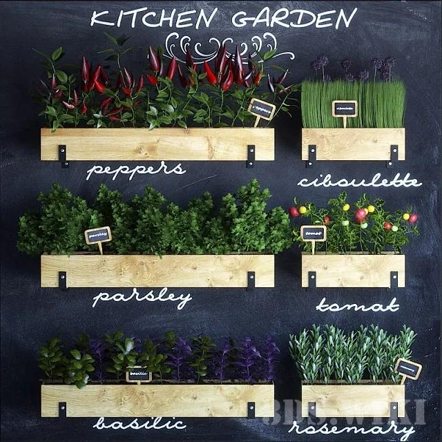 decoration – Kitchen garden 3D Model