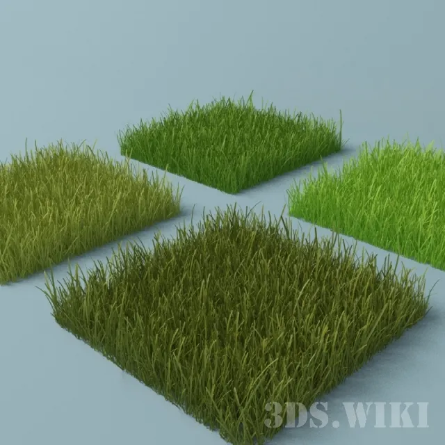 decoration – Lawn grass 3D Model
