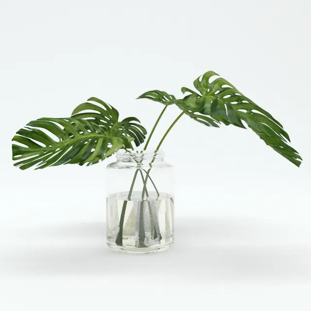 decoration – Leaves Tropical 3D Model