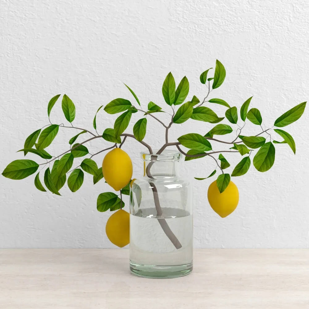 decoration – Lemons on branch setka 3D Model