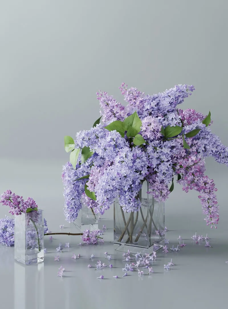 decoration – Lilac 4 3D Model