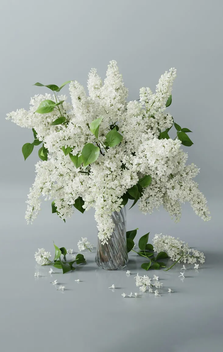 decoration – Lilac 5 3D Model