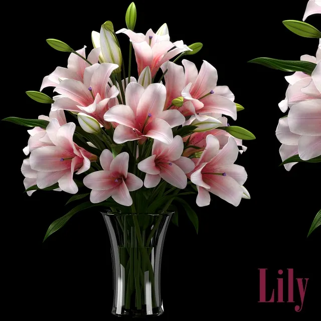 decoration – LILY 2 3D Model decoration – LILY 2 3D Model