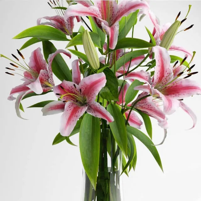 decoration – Lily bouquet 14 3D Model decoration – Lily bouquet 14 3D Model