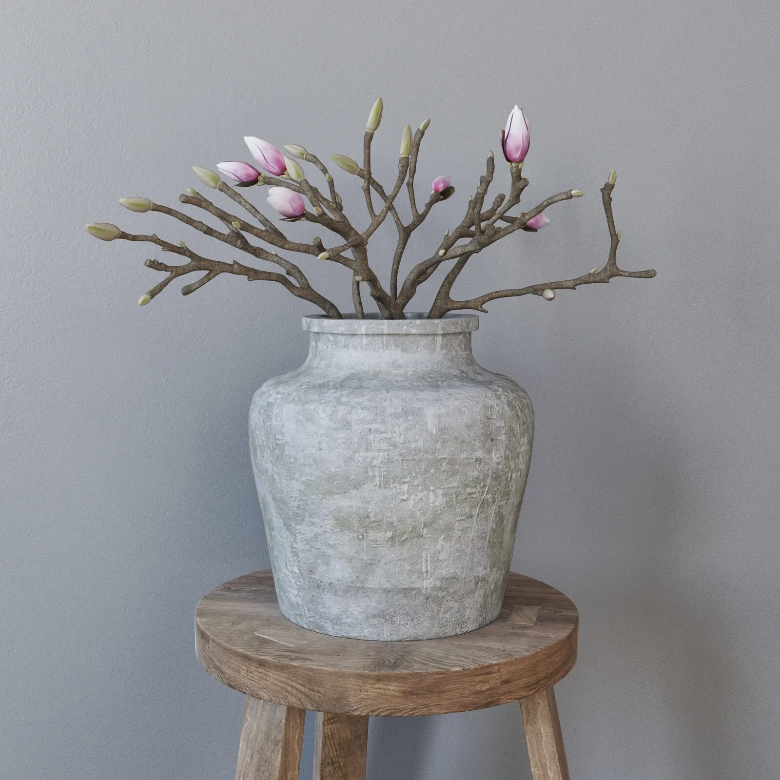 decoration – Magnolia in concrete vase 3D Model
