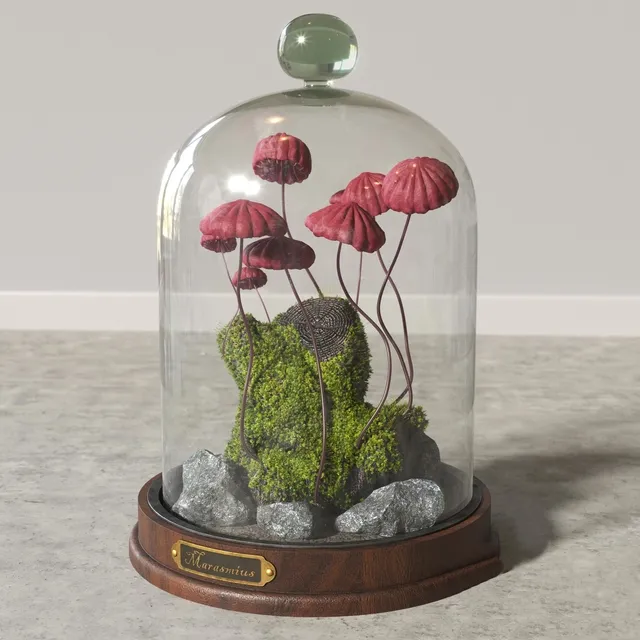 decoration – Marasmius_Florarium 3D Model