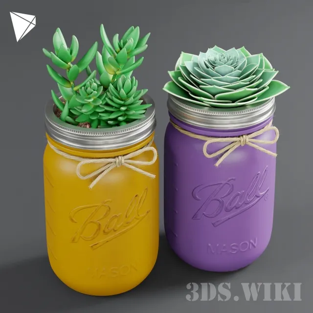 decoration – Mason Jar Succulent Jars With Plant 3D Model
