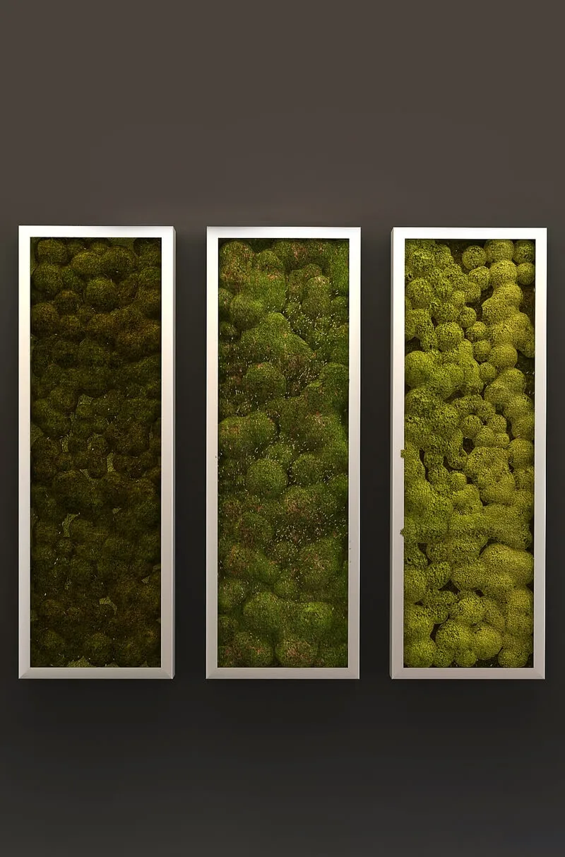 decoration – Moss in a frame 3D Model decoration – Moss in a frame 3D Model