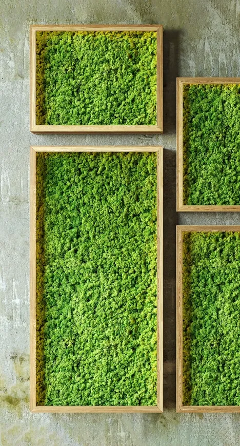 decoration – Moss walls 3D Model decoration – Moss walls 3D Model