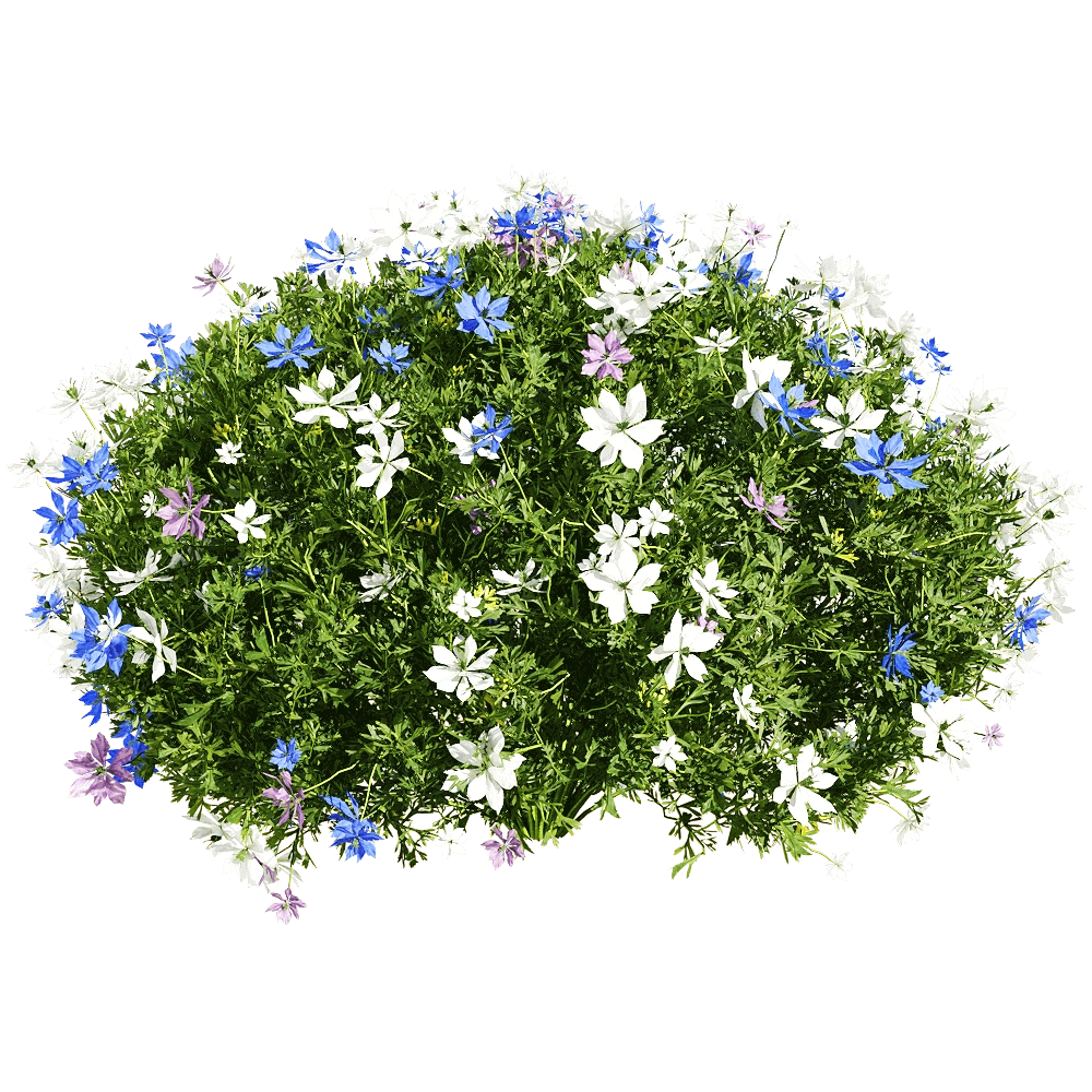 decoration – Nigella damascena 2 3D Model decoration – Nigella damascena 2 3D Model