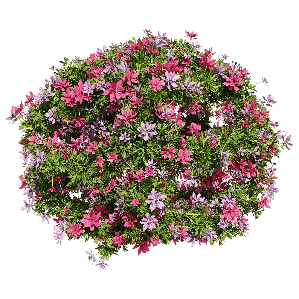 decoration – Nigella damascena 4 3D Model decoration – Nigella damascena 4 3D Model