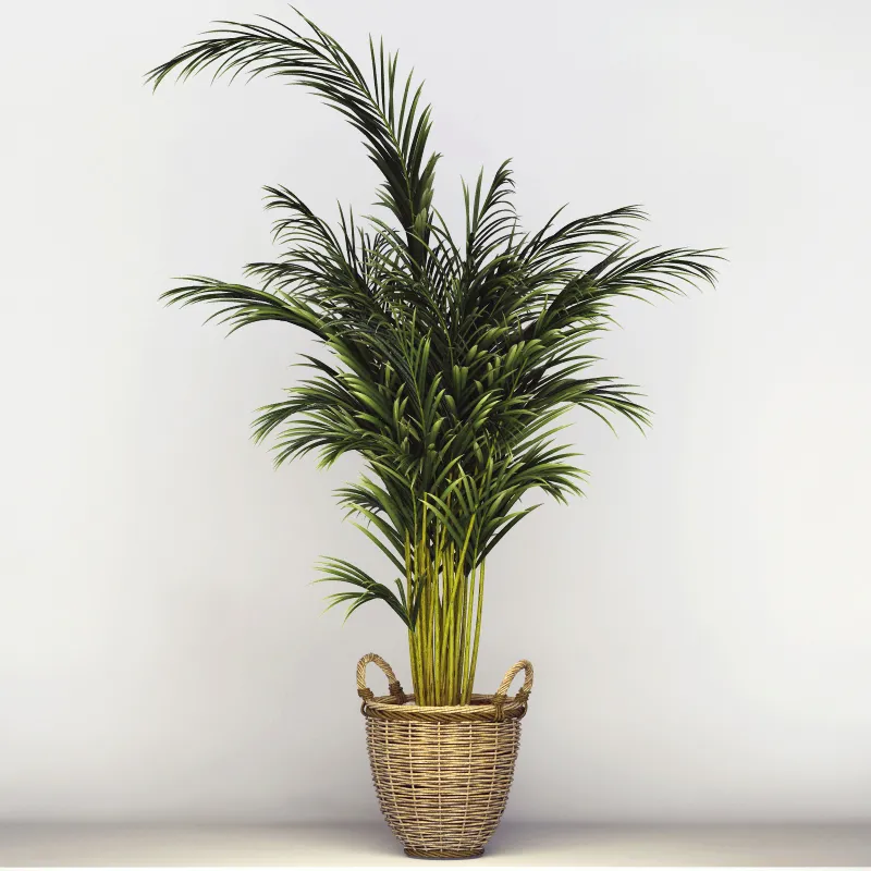 decoration – Office tree 056 3D Model