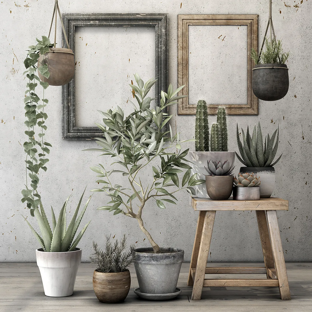 decoration – Old plants set 06 3D Model