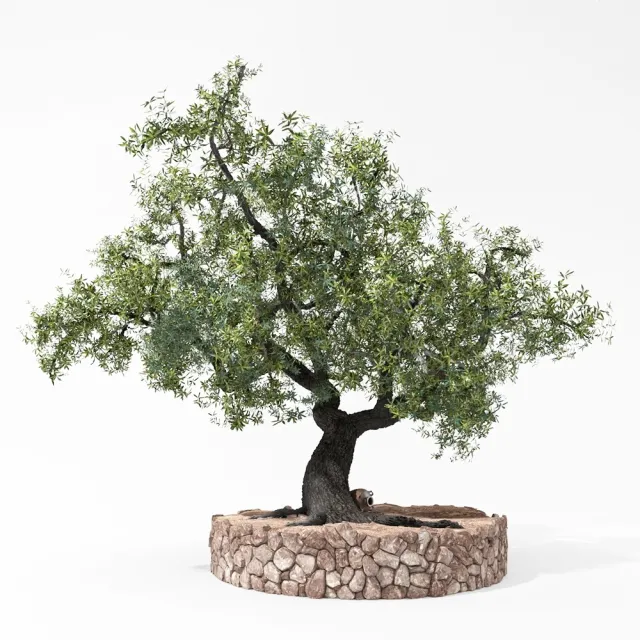 decoration – Olea 3D Model decoration – Olea 3D Model
