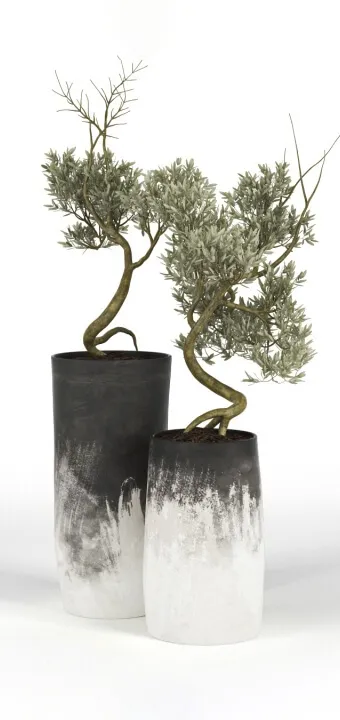 decoration – Olive Tree 02 3D Model decoration – Olive Tree 02 3D Model