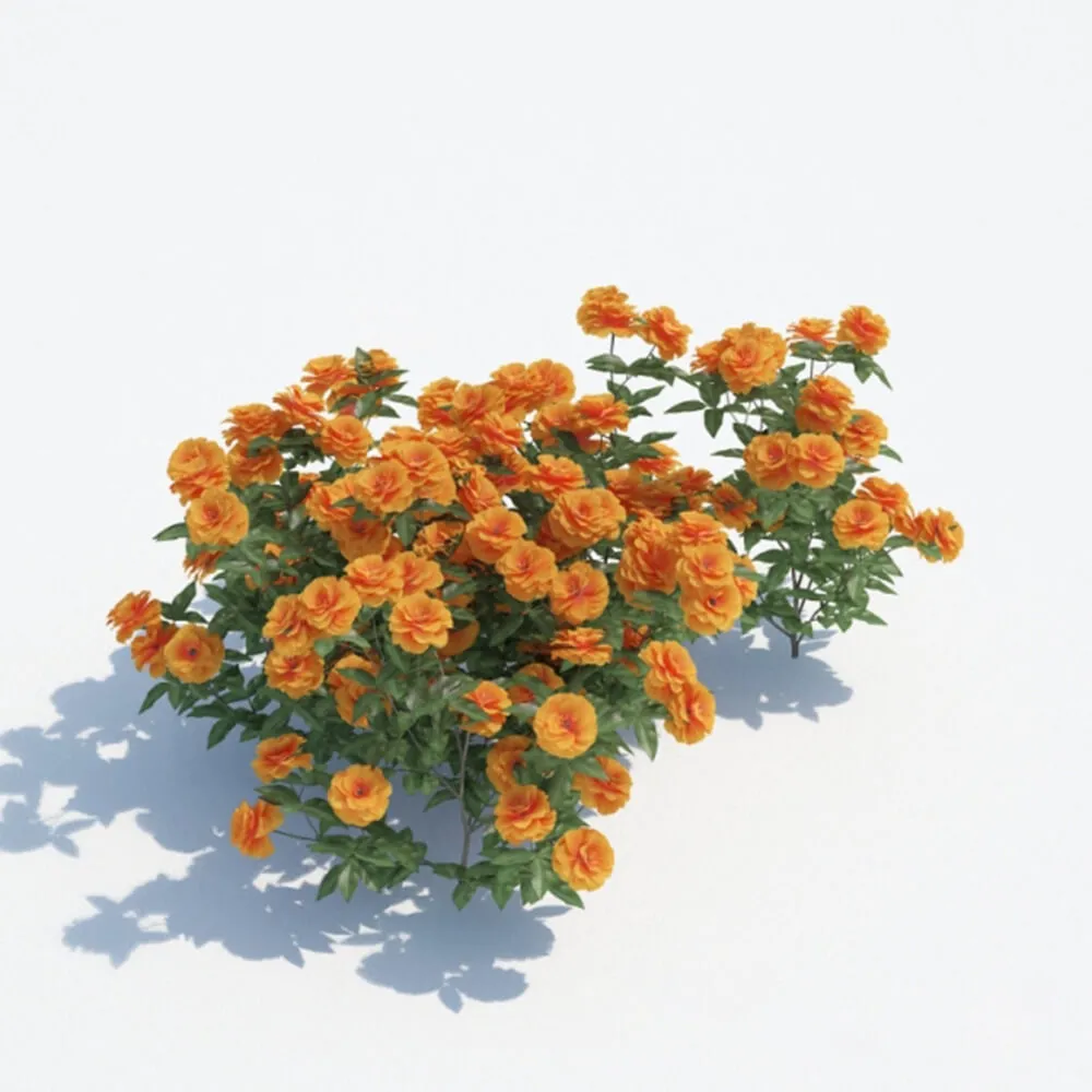 decoration – Orange flowers 3D Model