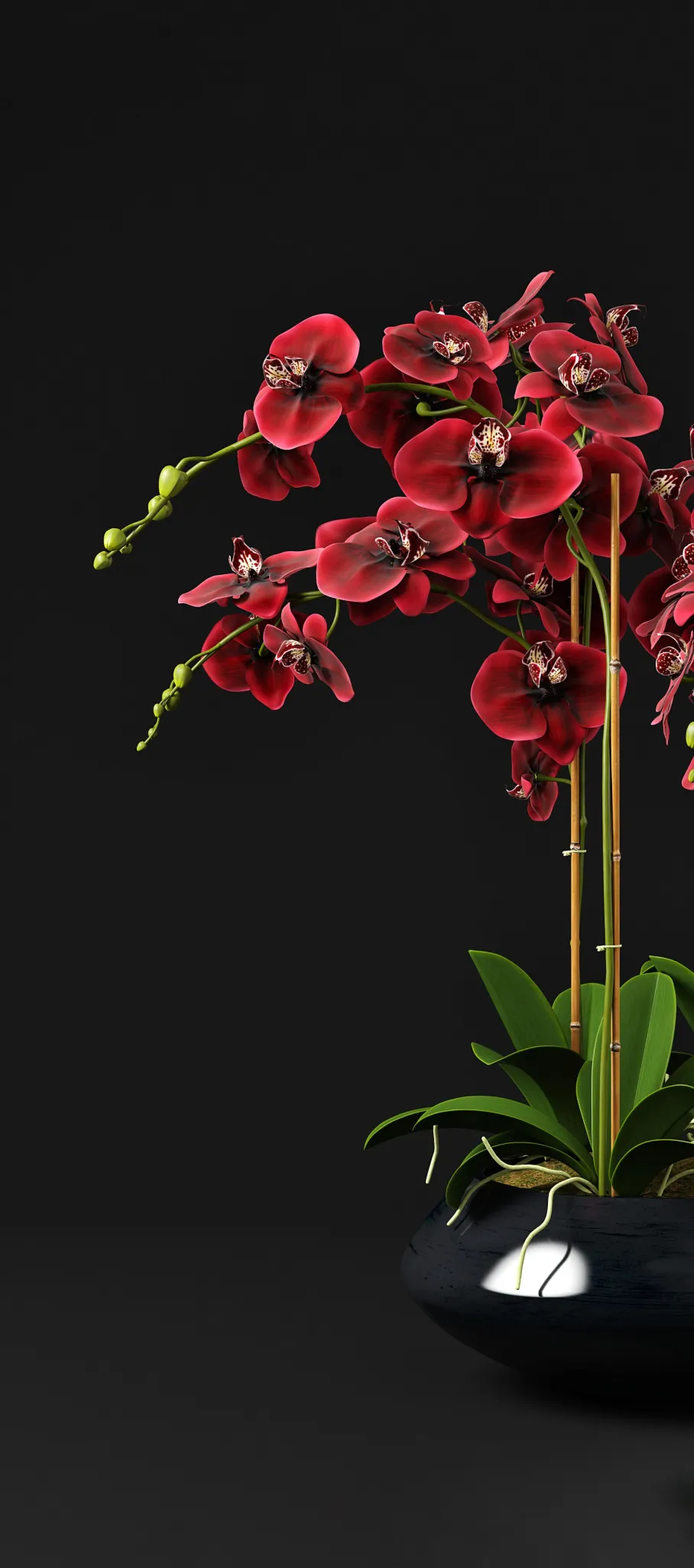 decoration – Orchid 12 3D Model decoration – Orchid 12 3D Model
