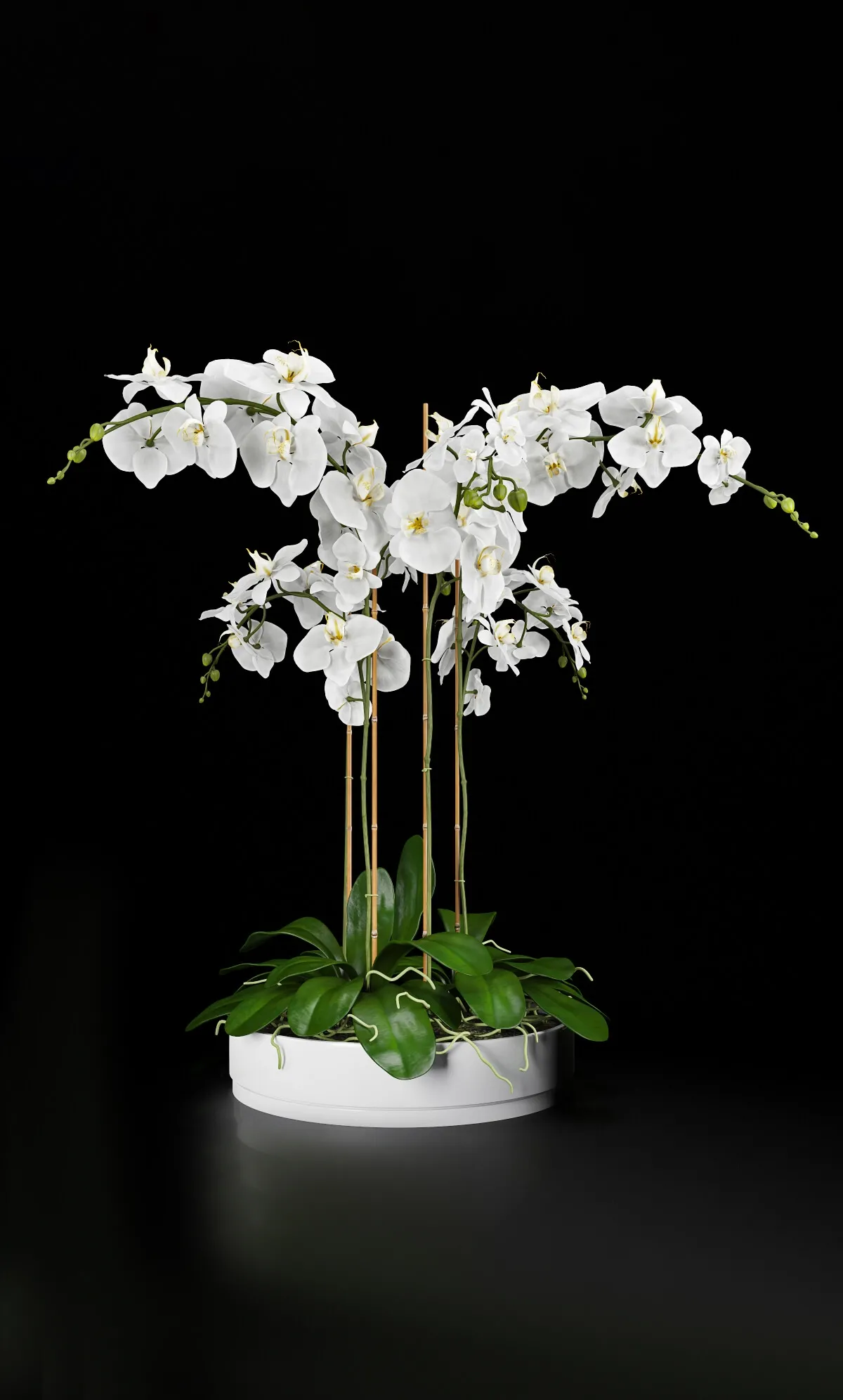 decoration – Orchid 5 3D Model decoration – Orchid 5 3D Model