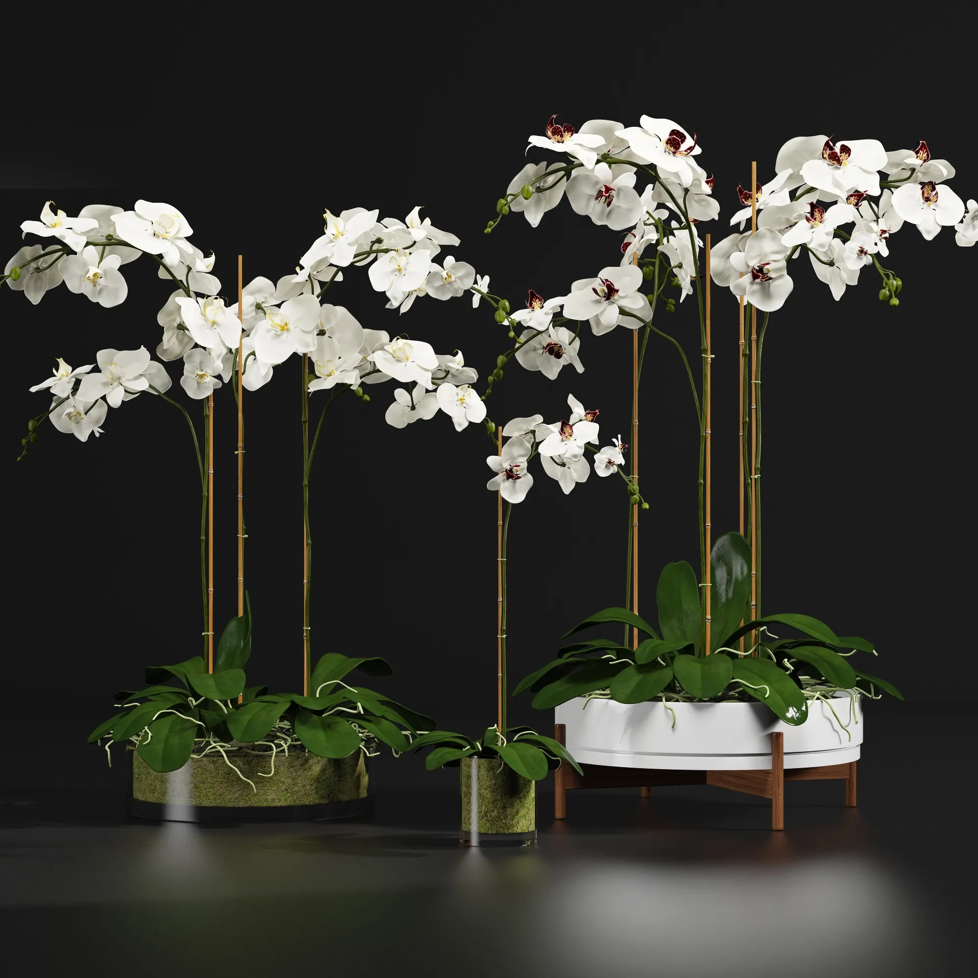 decoration – Orchid 56 3D Model