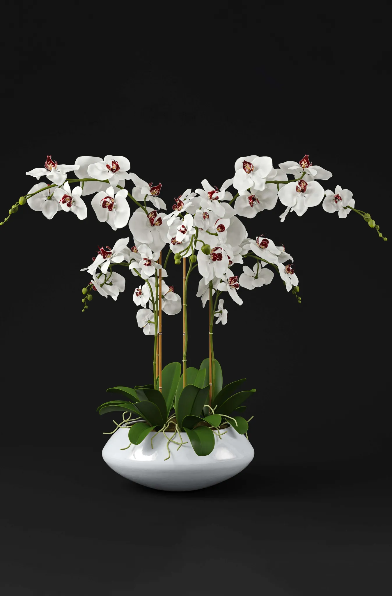 decoration – Orchid 7 3D Model decoration – Orchid 7 3D Model