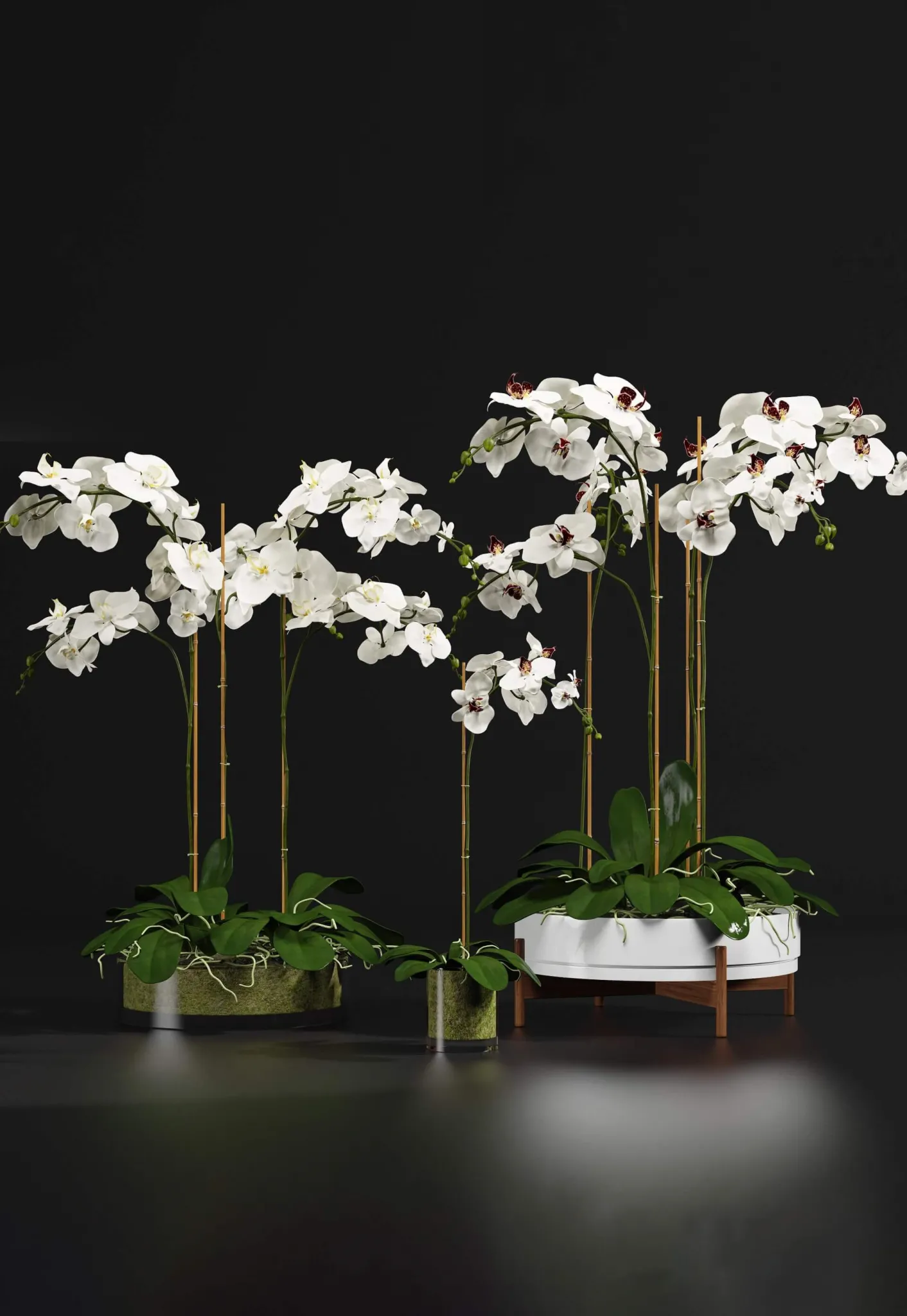 decoration – Orchid 9 3D Model decoration – Orchid 9 3D Model