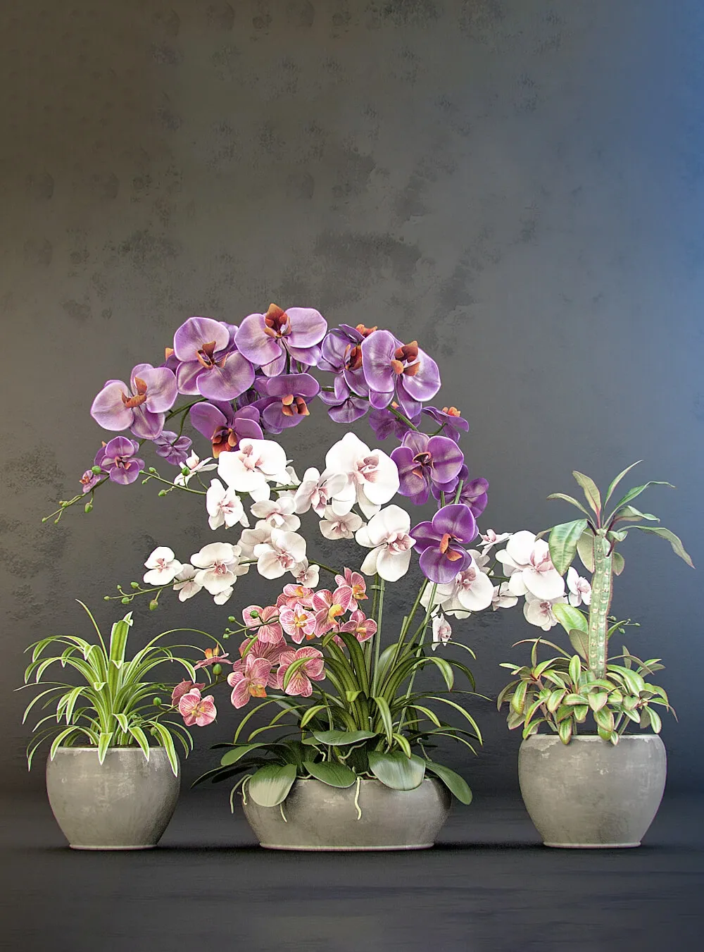 decoration – Orchid arrangement 01 3D Model decoration – Orchid arrangement 01 3D Model