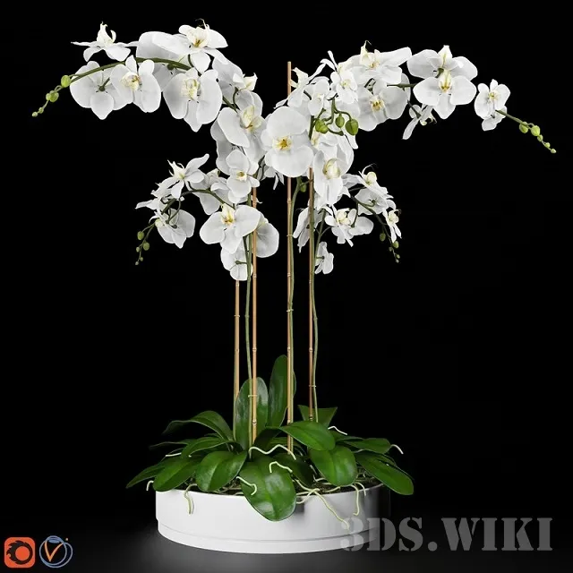 decoration – Orchid in a small pot 3D Model
