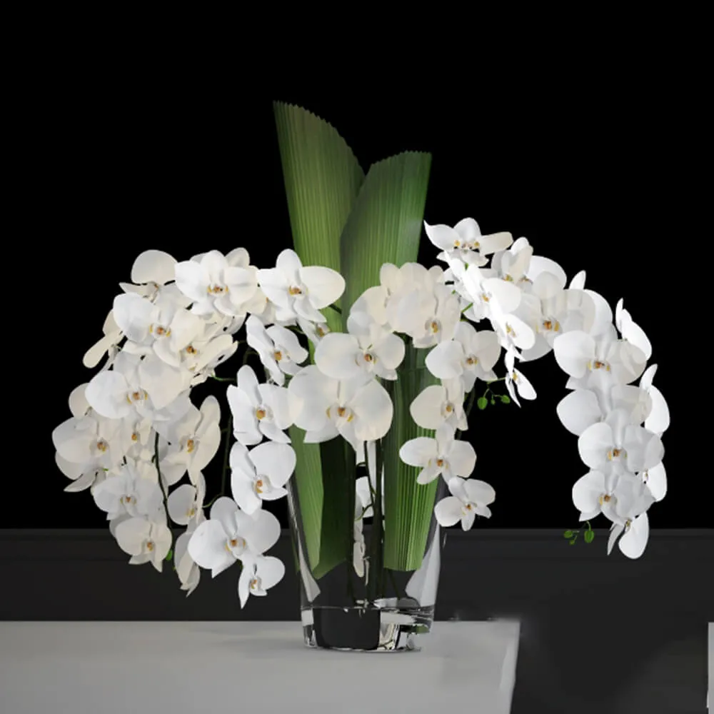 decoration – Orchid in a vase 3D Model
