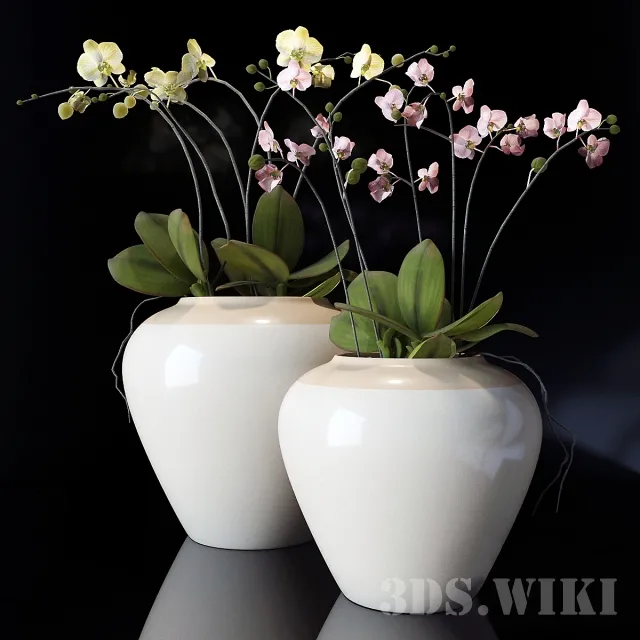 decoration – Orchid in vases – Pottery Barn 3D Model