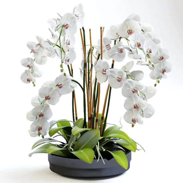 decoration – Orchids with willow branches 03 3D Model