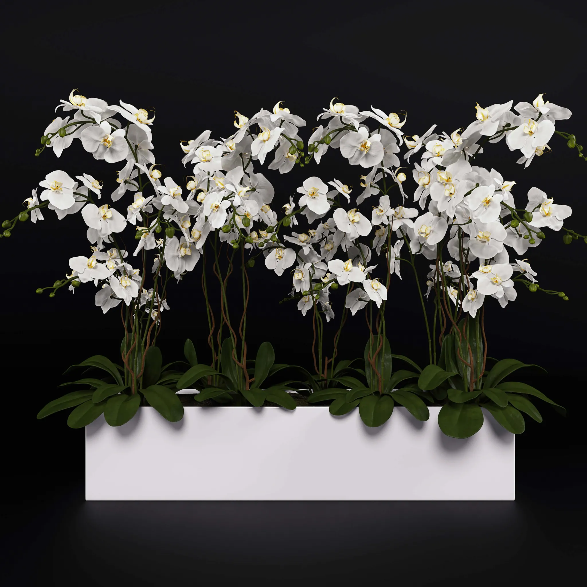 decoration – Orchids with willow branches 07 3D Model
