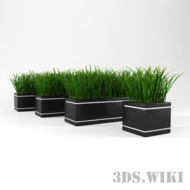 decoration – Ornamental grass 3D Model