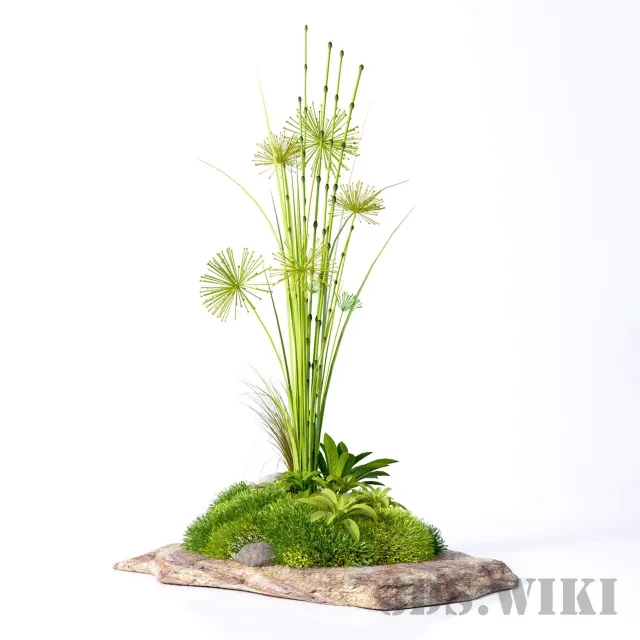decoration – Ornamental plants on stone 3D Model