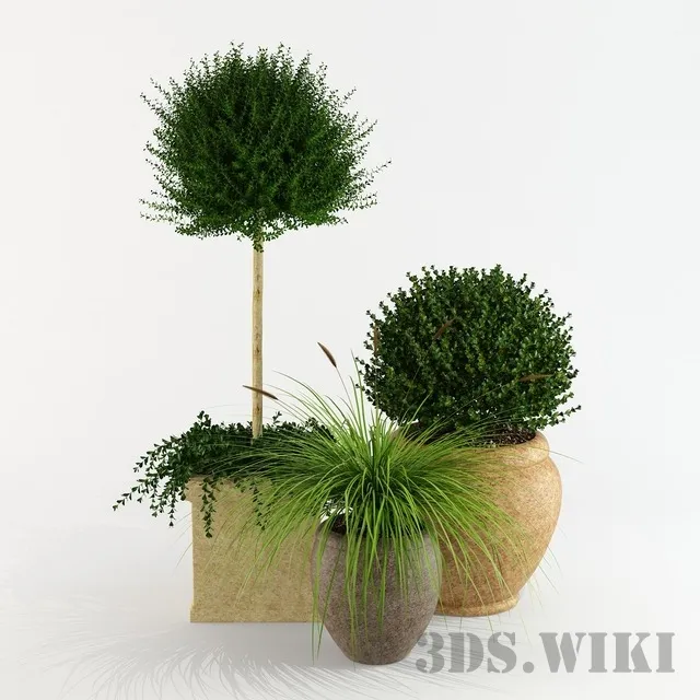 decoration – Outdoor potted plants 3D Model