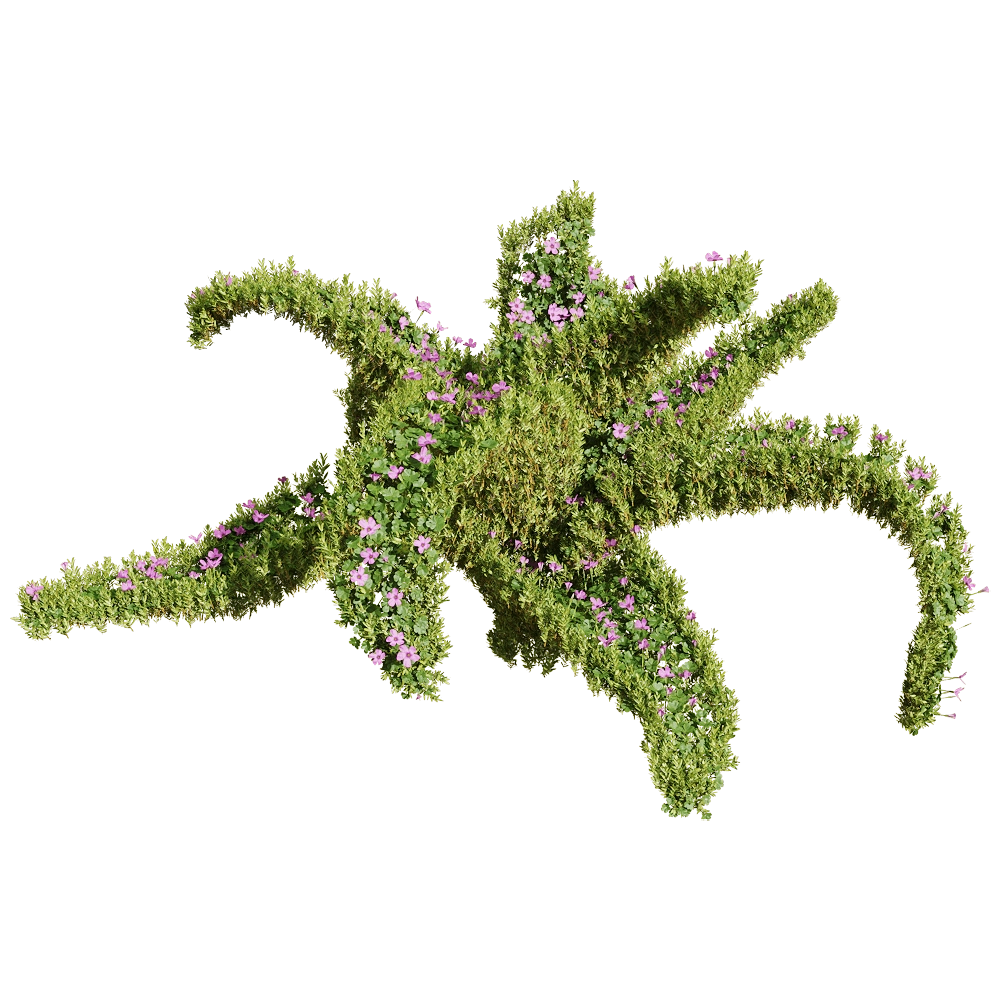 decoration – Oxalis corymbosa 1 3D Model decoration – Oxalis corymbosa 1 3D Model