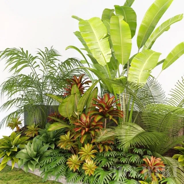 decoration – Palm Composition 3D Model decoration – Palm Composition 3D Model