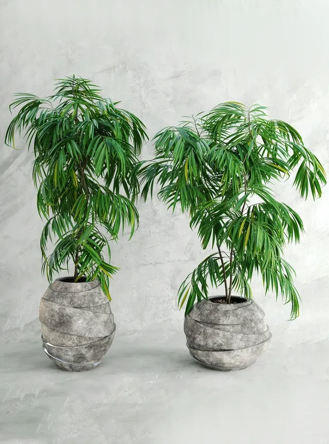 decoration – Palma 3 3D Model