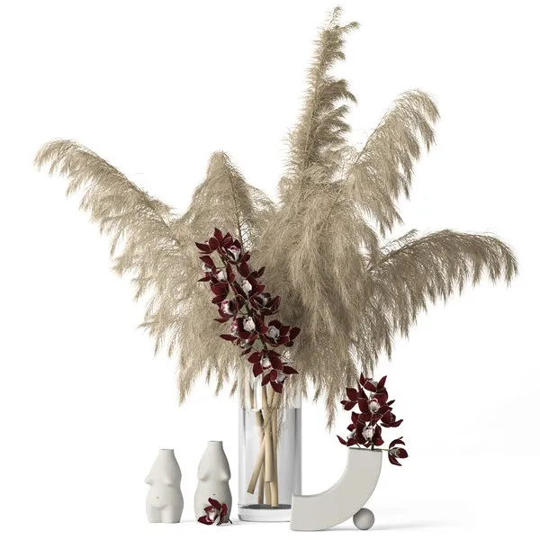 decoration – Pampas grass and Cymbidium 3D Model