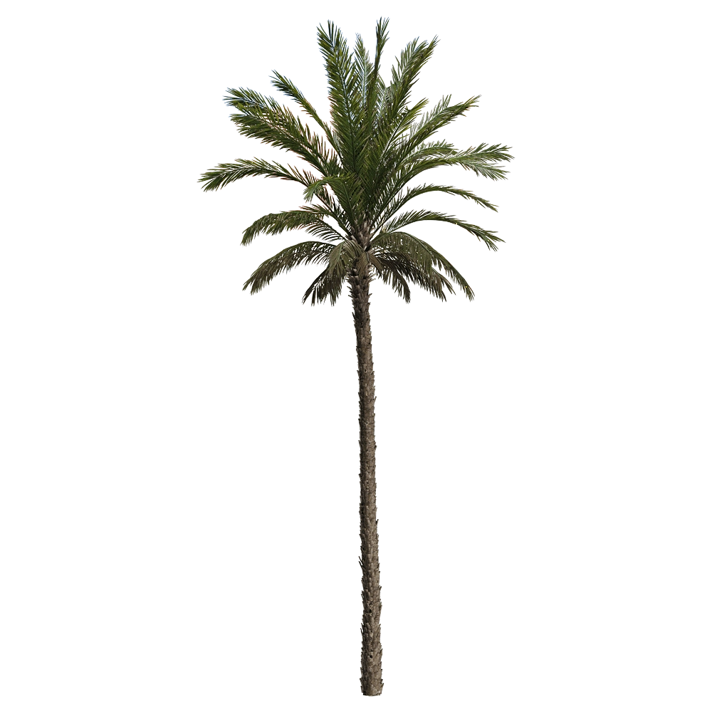 decoration – Pandanus tectorius 2 3D Model