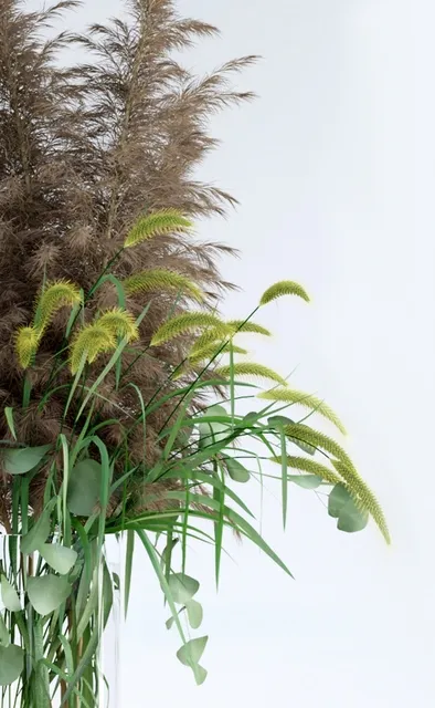decoration – Pennisetum and Pampas grass 3D Model