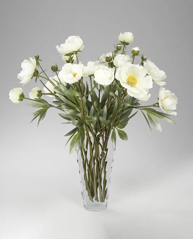 decoration – Peonies 03 3D Model