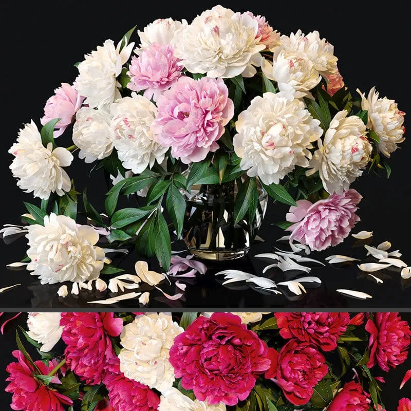 decoration – Peonies 36 3D Model decoration – Peonies 36 3D Model
