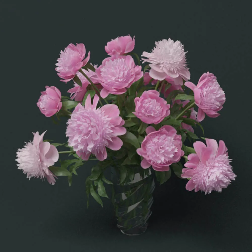 decoration – Peons barbara 3D Model