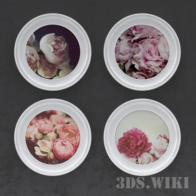 decoration – Pictures of peonies in round frames 3D Model