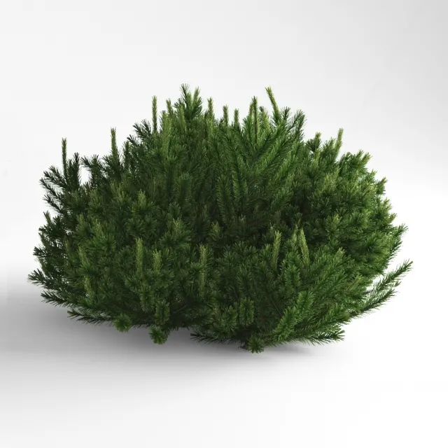decoration – Pine Mountain Mugus 3D Model decoration – Pine Mountain Mugus 3D Model